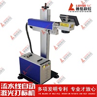 High Power Laser Marking Machine, Steel Plate Distribution Box Namebord Laser coderingsmachine Gravure Machine